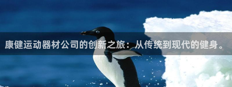 征途国际集团官网首页:康健运动器材公司的创新之旅:从传统到现