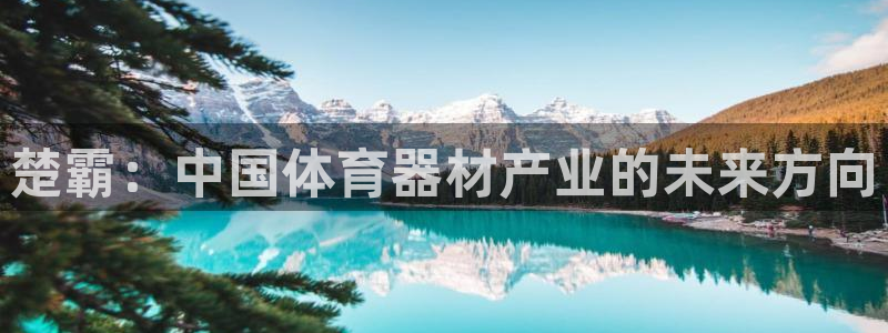 征途国际新能源:楚霸:中国体育器材产业的未来方向