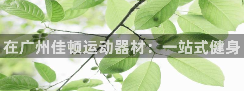 征途国际娱乐代理怎么样:在广州佳顿运动器材:一站式健身
