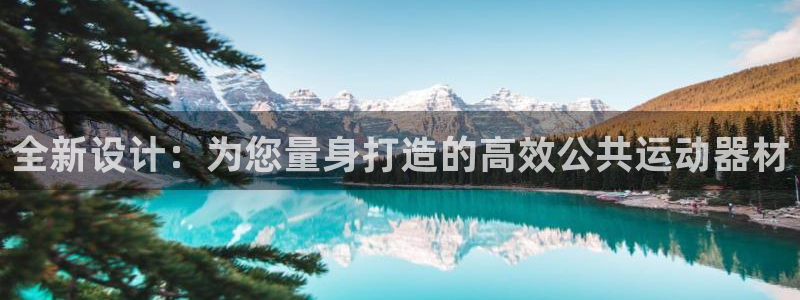 征途国际平台假的吗是真的吗:全新设计:为您量身打造的高效公共