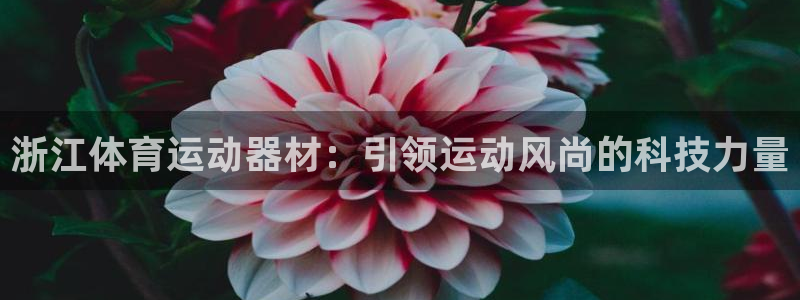 征途国际招商电话是多少号码:浙江体育运动器材:引领运动风尚的
