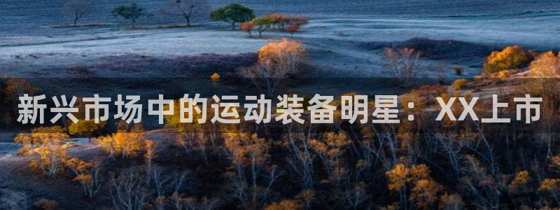 征途国际平台假的吗是真的吗吗:新兴市场中的运动装备明星:XX