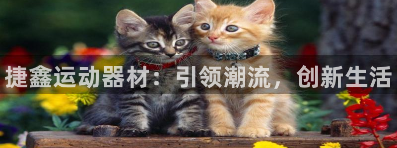 征途国际集团官网首页网址:捷鑫运动器材:引领潮流,创新生活